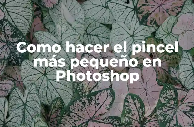 Como Hacer el Pincel Más Pequeño en Photoshop