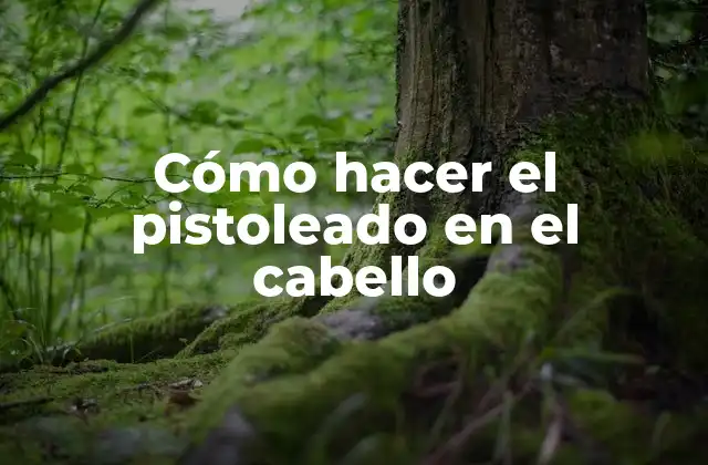 Cómo Hacer el Pistoleado en el Cabello