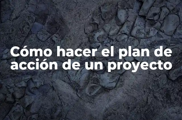 Cómo Hacer el Plan de Acción de un Proyecto