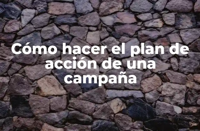 Cómo Hacer el Plan de Acción de una Campaña