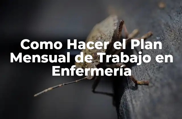 Como Hacer el Plan Mensual de Trabajo en Enfermería