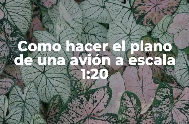 Como Hacer el Plano de una Avión a Escala 1:20