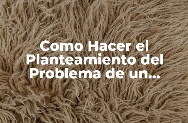 Como Hacer el Planteamiento Del Problema de un Proyecto