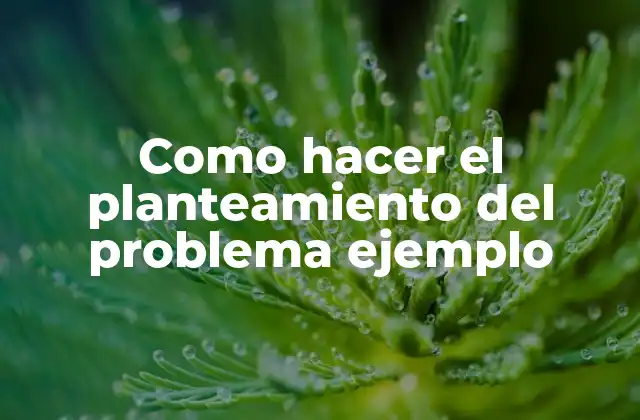 Como Hacer el Planteamiento Del Problema Ejemplo