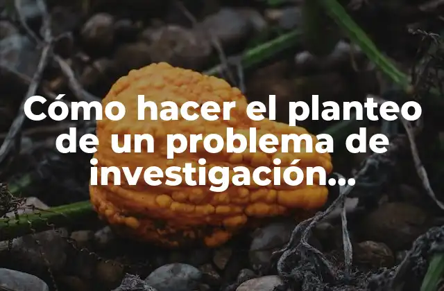 Cómo Hacer el Planteo de un Problema de Investigación Cuantitativa