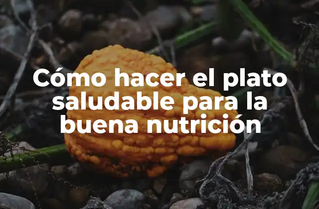 Cómo Hacer el Plato Saludable para la Buena Nutrición 2 Cómo hacer el plato saludable para la buena nutrición