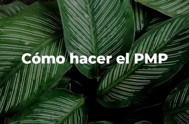 Cómo Hacer el Pmp