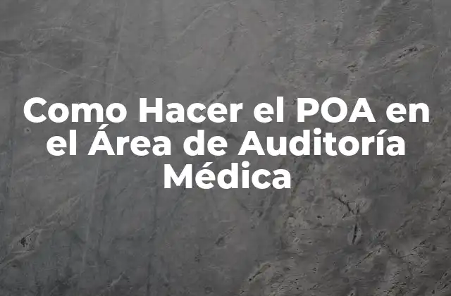 Como Hacer el Poa en el Área de Auditoría Médica