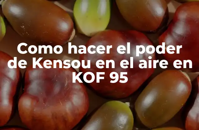 Como Hacer el Poder de Kensou en el Aire en Kof 95