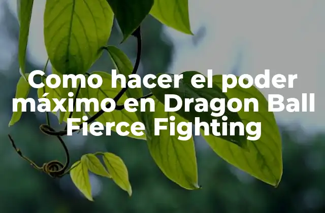 Como Hacer el Poder Máximo en Dragon Ball Fierce Fighting