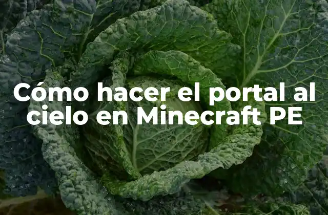 Cómo Hacer el Portal Al Cielo en Minecraft Pe