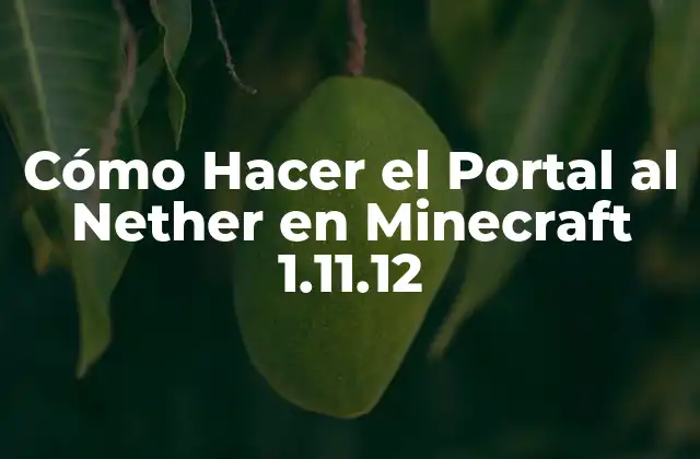 Cómo Hacer el Portal Al Nether en Minecraft 1.11.12