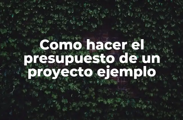 Como Hacer el Presupuesto de un Proyecto Ejemplo 2 ¿Qué es un presupuesto de proyecto?