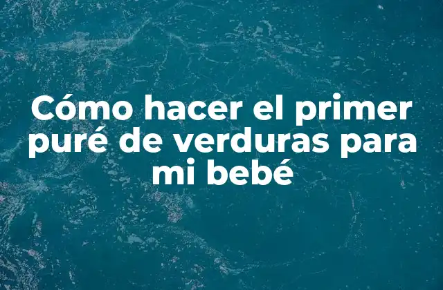 Cómo Hacer el Primer Puré de Verduras para Mi Bebé