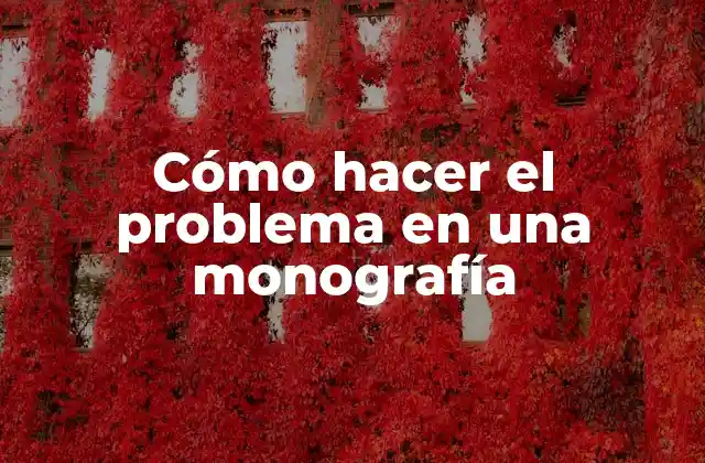 Cómo Hacer el Problema en una Monografía