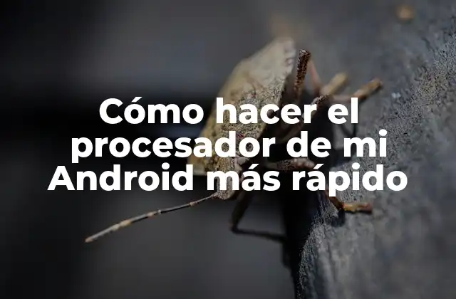 Cómo Hacer el Procesador de Mi Android Más Rápido
