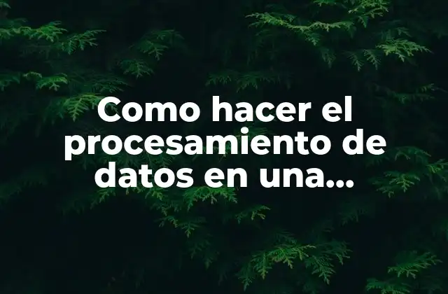 Como Hacer el Procesamiento de Datos en una Investigación