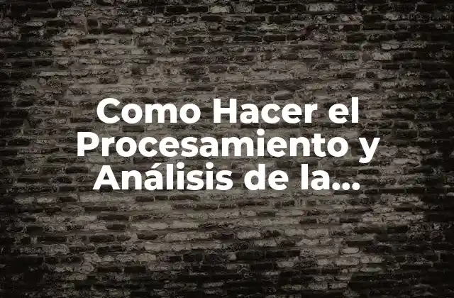 Como Hacer el Procesamiento y Análisis de la Información