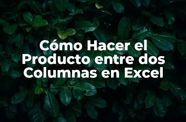 Cómo Hacer el Producto entre Dos Columnas en Excel