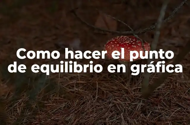 Como Hacer el Punto de Equilibrio en Gráfica