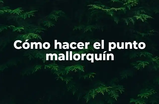 Cómo Hacer el Punto Mallorquín