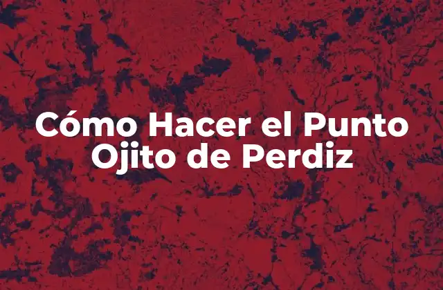 Cómo Hacer el Punto Ojito de Perdiz