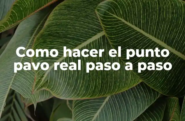 Como Hacer el Punto Pavo Real Paso a Paso