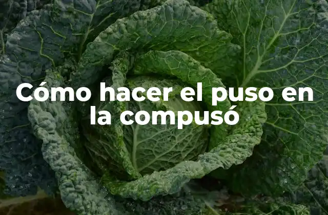 Cómo Hacer el Puso en la Compusó