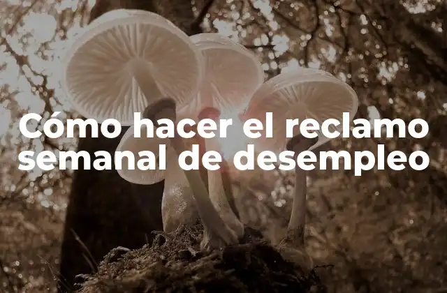 Cómo Hacer el Reclamo Semanal de Desempleo