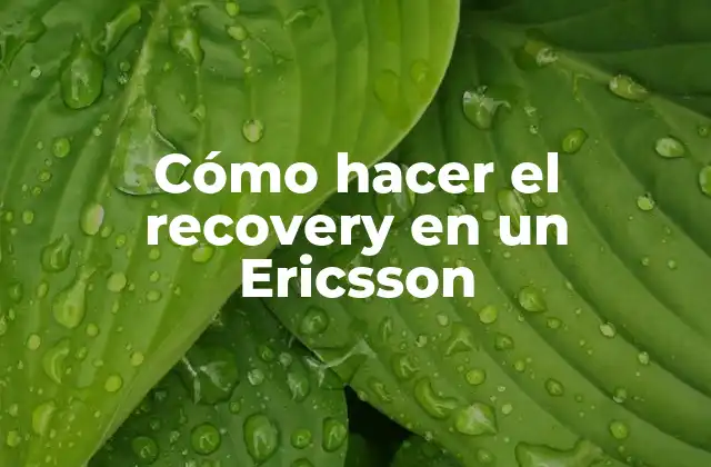 Cómo Hacer el Recovery en un Ericsson