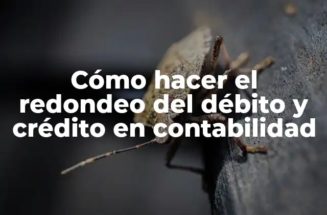 Cómo Hacer el Redondeo Del Débito y Crédito en Contabilidad