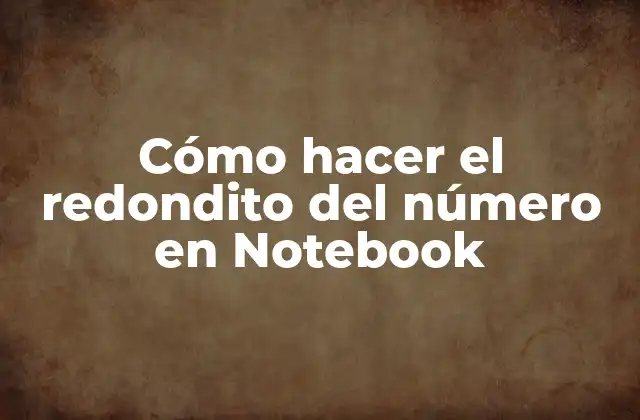 ¿Qué es el redondito del número en Notebook?
