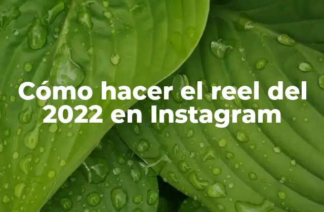 Cómo Hacer el Reel Del 2022 en Instagram