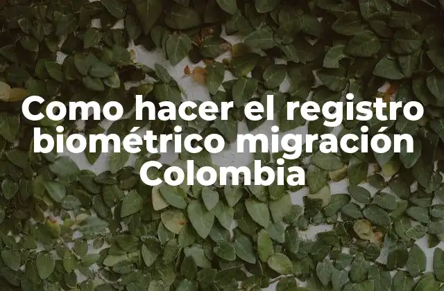 Como Hacer el Registro Biométrico Migración Colombia