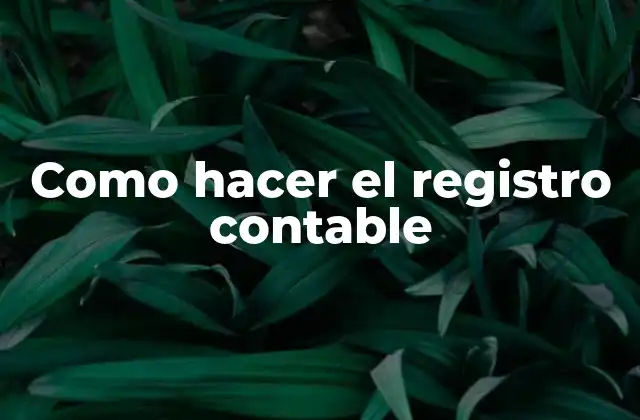 Como Hacer el Registro Contable