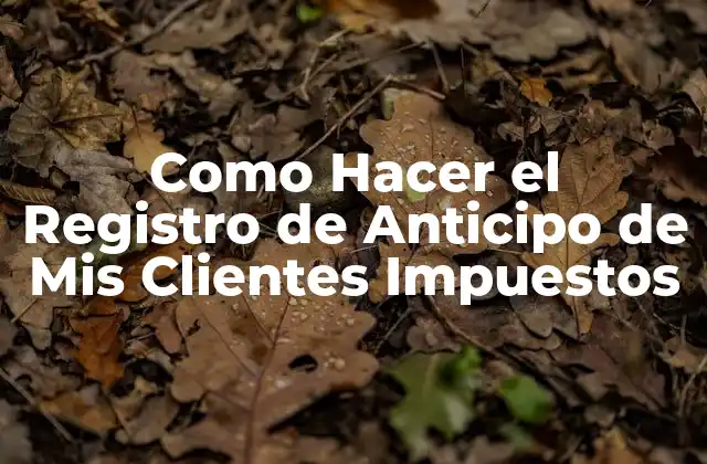 Como Hacer el Registro de Anticipo de Mis Clientes Impuestos