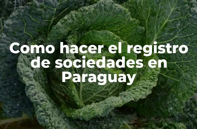 Como Hacer el Registro de Sociedades en Paraguay