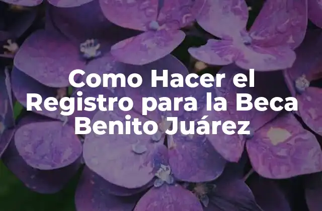 Como Hacer el Registro para la Beca Benito Juárez