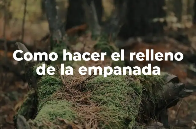 Como Hacer el Relleno de la Empanada