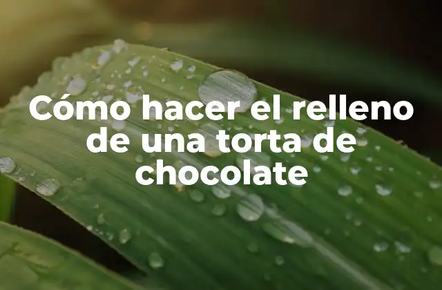 ¿Qué es el relleno de una torta de chocolate?