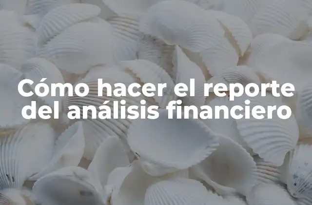 Cómo Hacer el Reporte Del Análisis Financiero
