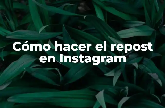 ¿Qué es el repost en Instagram?