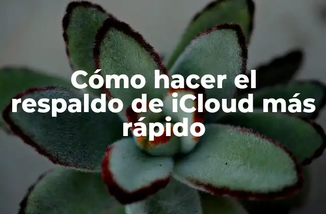 Cómo Hacer el Respaldo de Icloud Más Rápido