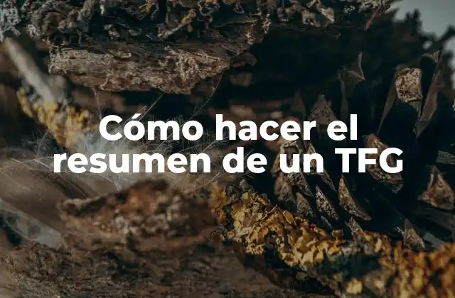 Cómo Hacer el Resumen de un Tfg