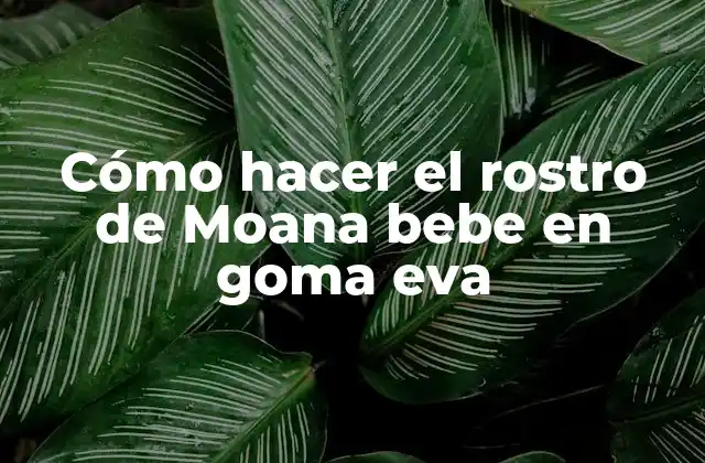 Cómo Hacer el Rostro de Moana Bebe en Goma Eva