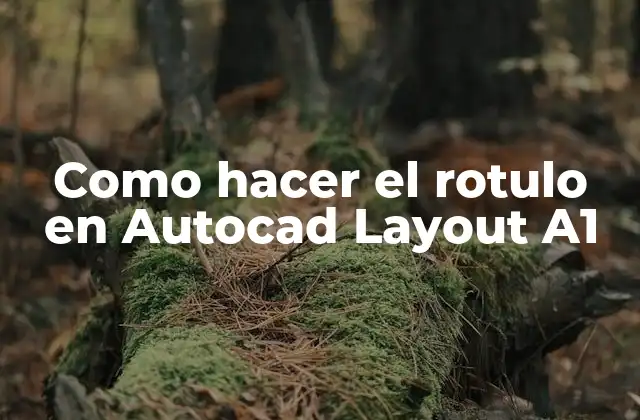 Como Hacer el Rotulo en Autocad Layout A1