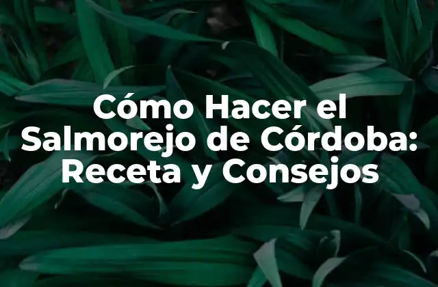 Ingredientes Necesarios para Hacer el Salmorejo