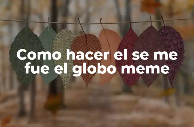 Como Hacer el Se Me Fue el Globo Meme