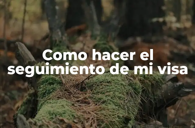 Como Hacer el Seguimiento de Mi Visa
