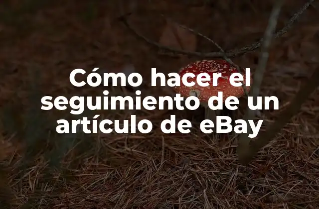 Cómo Hacer el Seguimiento de un Artículo de Ebay